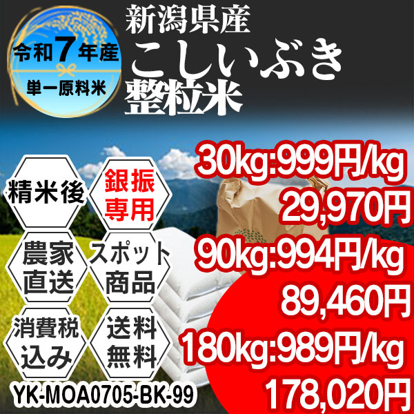 こしいぶき 単銘柄 整粒米 1等 精白米 新潟県 R7年産 税・送料込★銀行振込