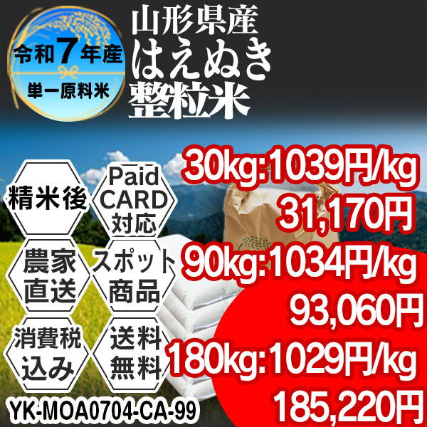 はえぬき 単銘柄 整粒米 1等 精白米 山形県 R7年産  (税・送料込) ■クレカ・Paid決済