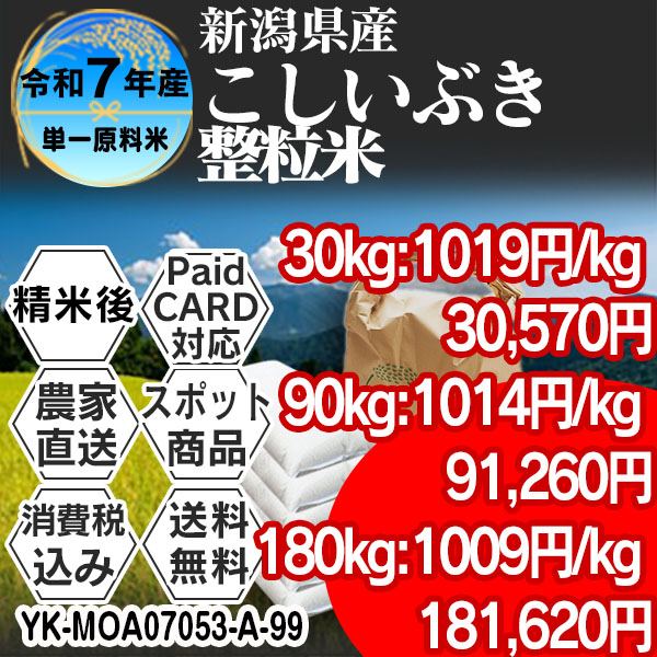 こしいぶき 単銘柄 整粒米 1等 精白米 新潟県 R7年産  (税・送料込) ■クレカ・Paid決済